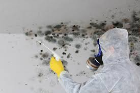 Best Forensic Mold Investigation  in Lexington, WA